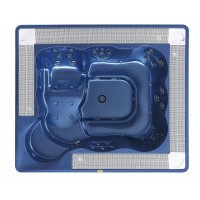 Коммерческий SPA бассейн Jacuzzi Virginia Experience, 257х219х98 см