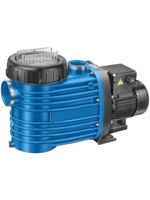 Насос BADU Magna 12, 1~ 230 В, 0,65/0,45 кВт Насос BADU Magna 12, 1~ 230 В, 0,65/0,45 кВт